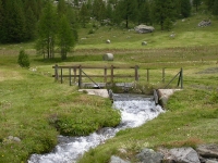 Alpe Devero in estate-12